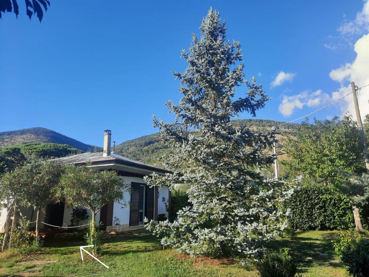 Casetta In Collina Sezze Exteriör bild