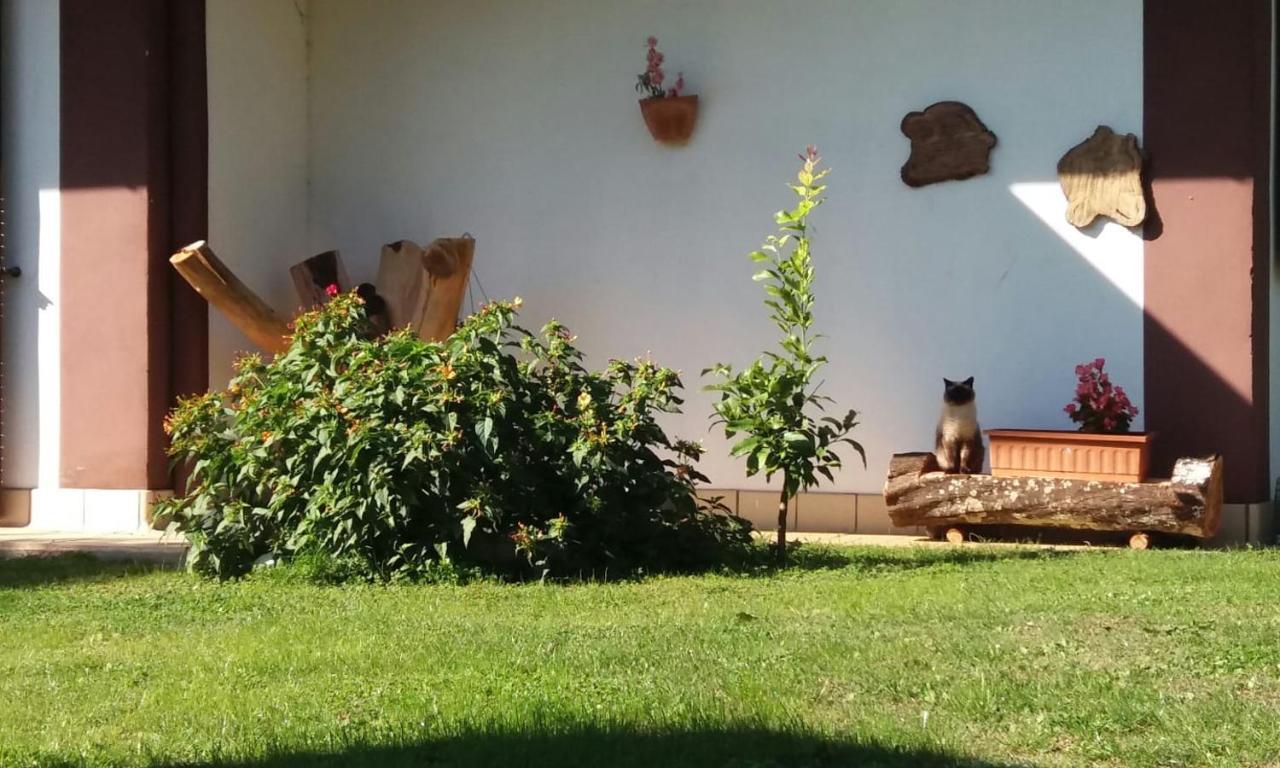 Casetta In Collina Sezze Exteriör bild